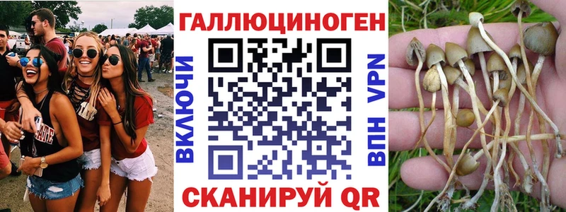 цены наркотик  Будённовск  Псилоцибиновые грибы прущие грибы 